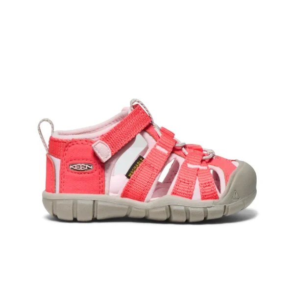 Toddlers’ Seacamp II CNX  |  Dubarry/Giggle Pink